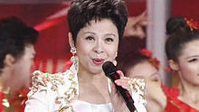 安徽卫视2012春节联欢晚会 董文华《中国年》
