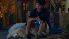 SHINee,f(x) - <致美丽的你>