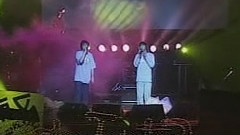 Shine - 熊猫