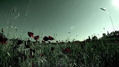 Angelzoom - Hypnotised