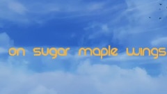 Owl City - The Real World