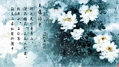 原创 - 纳兰