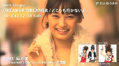 moumoon - 緑の道