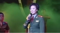 华语群星 - 那一片橄榄绿