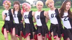 F-ve Dolls - SBS Morningwide