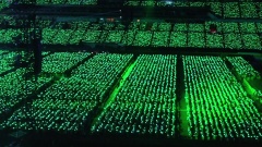东方神起 - Survivor特殊应援