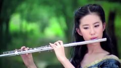刘亦菲 - 红梅赞