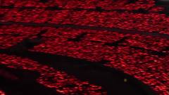 东方神起 - 横滨日产演唱会红海