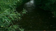 群星 - 千言万语