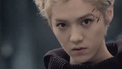 EXO - 狼与美女(Wolf)
