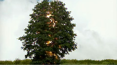 About Group - All Is Not Lost