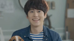Super Junior,SHINee,少女时代,f(x) - Skt Lte