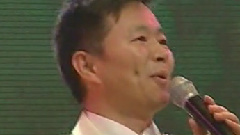 王宏伟 - 西部放歌