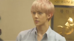 EXO-M,张艺兴(EXO),EXO - 惩罚