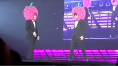 沈昌珉,圭贤(Super Junior),东方神起,Super Junior,SM Town - Ichigo