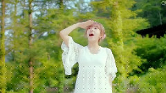 A Pink - Secret Garden(秘密花园)