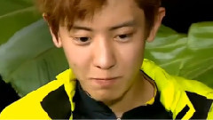 EXO,EXO-K - SBS 丛林的法则 灿烈Cut