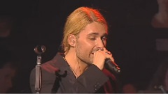 David Garrett - Desperado