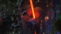 EXO - 共舞荧光棒