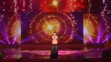 谭维维 - 谭维维串烧歌曲 向摇滚致敬