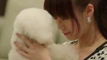 五月天,周杰伦 - MTV天籁村 第20120128期