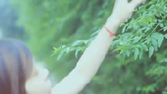 张悬 - 模样