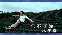 林子良 - 林子良《忘不了你》 高清官方版