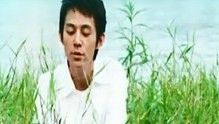 何炅 - 栀子花开 完整版