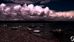 音乐短片 - The Bear