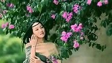 萨顶顶 - 如影随形 高清官方版