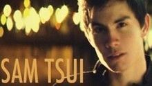Sam Tsui - Sam Tsui - Love The Way You Lie