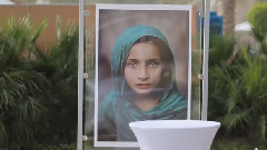 音乐短片 - 七公主 艾斯布莱斯