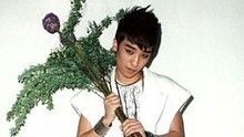 Bigbang - BigBang - Haru Haru  音乐中心2008.12.27版