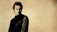 Sting,Super Junior - Be Still My Beating Heart