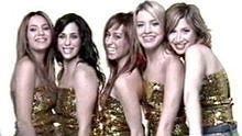 Bellepop,Animal Kingdom - Bellepop - La Vida que Va