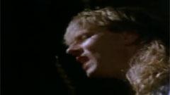 Def Leppard - Animal
