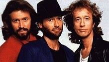Bee Gees - Bee Gees - Night Fever 官方版
