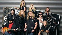 Lynyrd Skynyrd - Simple Life