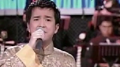 群星 - 望月想爱人