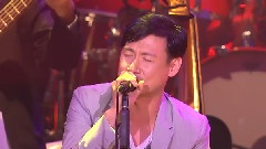张学友 - 找对你