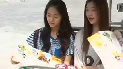 f(x) - Koala E13