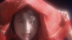 陈少华 - 九九女儿红