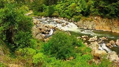 Owharoa Falls North Island New Zealand