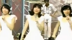 日本群星 - 春一番
