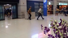 EXO,EXO-M,EXO-K - 仁川机场接机