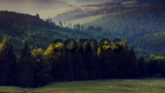 欧美群星 - Tomorrow Comes