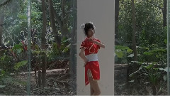 舞蹈视频 - 上海之恋