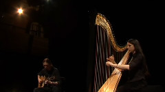 群星 - UNIQUE GUITAR AND HARP MUSIC