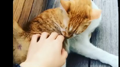 BIGFLO - Z-UK的instagram视频一则