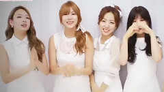 郑恩地(A Pink),A Pink - Apink Mini Diary Eun Ji Birthday